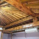 성읍초등학교 이미지