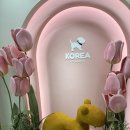 뷰티펫 | 반포동애견미용 켈리스펫뷰티살롱 드디어 오픈했어요.