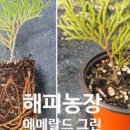 해피그린농장 이미지