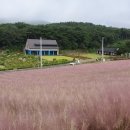 소나무카페(소나무관광농원) 이미지