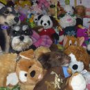 인형속으로 이미지