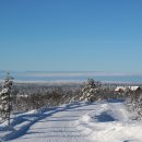 핀란드 라플란드에서 오로라와 스노우모빌 여행 1 - 사리셀카(Saariselkä) 이미지