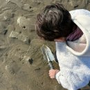 대부도 방아머리 음식거리 | 대부도 가볼만한곳 방아머리해수욕장 갯벌체험 물때 맛집(아이랑 겨울)