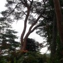 우복종택 이미지