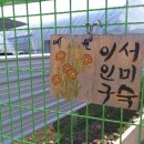 일직농장 이미지