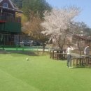 퍼니멍멍 장미애견펜션 이미지