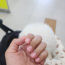 지니즈네일 이미지