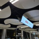 법환초등학교 | [국내여행]제주 여행 1일차, 제주도 도착&amp;올레길 7코스 완주!