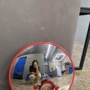 버스정류소_제주도청 신제주로터리 | 아이랑 함께한 제주 프로필 사진 맛집, 연관 방문후기(+꿀팁방출)