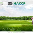 컴퓨터 프로그램 이미지
