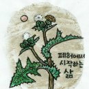 들꽃이야기