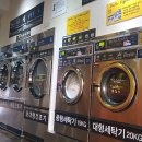 오남세탁 이미지