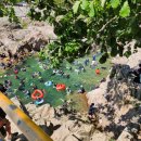 백담고을캠핑장 이미지