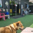 힐링몽 네이버블로그