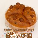 신정초등학교 | 소금빵이야 케이크야? 울산 위치스위츠 신메뉴 '소곰빵 케이크' 먹어본 솔직한 후기