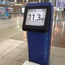 마마노코코로 이미지