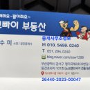 명지 삼정그린코아 웨스트 | 명지삼정그린코아웨스트오피스텔 원룸 실내 동영상 명지신도시오피스텔 원룸