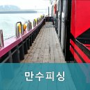 만수피싱