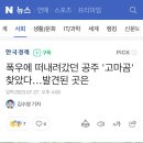 폭우에 떠내려갔던 공주 '고마곰' 찾았다…발견된 곳은 이미지