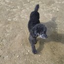 죽빵훈련소 이미지