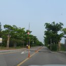 100523 안산 갈대습지공원 풍경 이미지