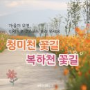 이천시 호법면 농어민문화체육센터 이미지