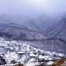 상촌면궁촌리 이미지