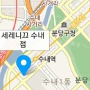 케어매니저분당