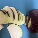 펠리시티1차 이미지