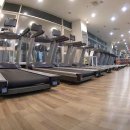 버닝휘트니스 이미지