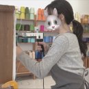 텐인스튜디오 이미지