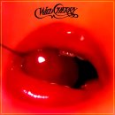 Play That Funky Music -- Wild Cherry 이미지