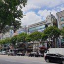 명동스넥 이미지