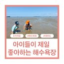 은혜상점 | 25도 바람부는 방아머리 해수욕장 후기, 화장실,주차장, 물때, 텐트,타프 설치 여부, 꿀팁