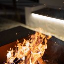 엘라이즈