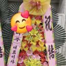 꼬시랑 이미지