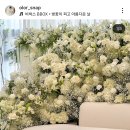 올로르 | W. 열하나 - 가성비 아이폰스냅 &#34;올로르스냅&#34; 계약후기 (짝꿍할인 / 개인페이백)