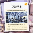 유병환애견미용학원 | 서울 광진구에서 실전 애견미용 경험, 유병환애견미용학원 후기!