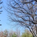 호암늘솔길 화장실 이미지