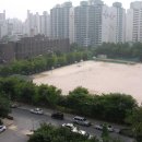 학교단지로 이미지