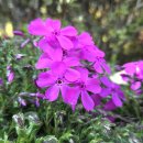 화산공원 이미지