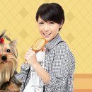 25세 동물병원 이미지