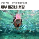 아이 | 세부 밀리네 호핑투어 후기, 아이 동반가족 강추