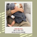 영아산통 분유 갈아타기해봐요 돌아기 산양분유 추천 산양제왕 3단계