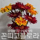 [서초] 양재꽃시장처럼 싱싱한 꽃을 구매할 수 있는 논현역꽃집, 꼰띠고플로라