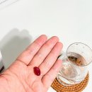 (주)팻온라인 | 다이소 푸응 팻버닝 7일간의 후기 내돈내산