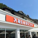 거제/바람의언덕/핫도그/애견동반O/거제도핫도그카페/카페/내돈내산/후기⭐️