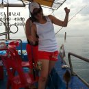 낙산해변야영장 이미지