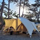 청년정육백화점 이미지