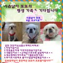 또또 이미지